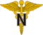 Nurse Corps emblem